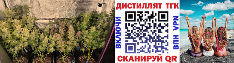 ТГК гашишное масло  Купить где  Порхов 